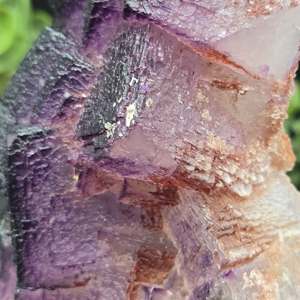 Fluorite from El Filo Mine Durango Mexico - Picture 5 of 7